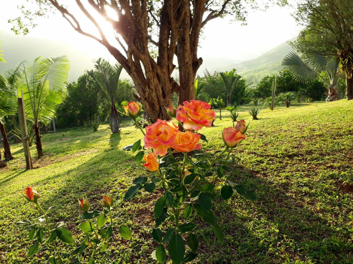 Casa/Sitio Na Serra Em Bom Jardim - Rj Exterior foto