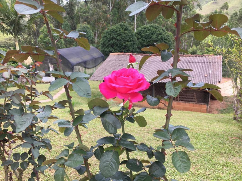 Casa/Sitio Na Serra Em Bom Jardim - Rj Exterior foto